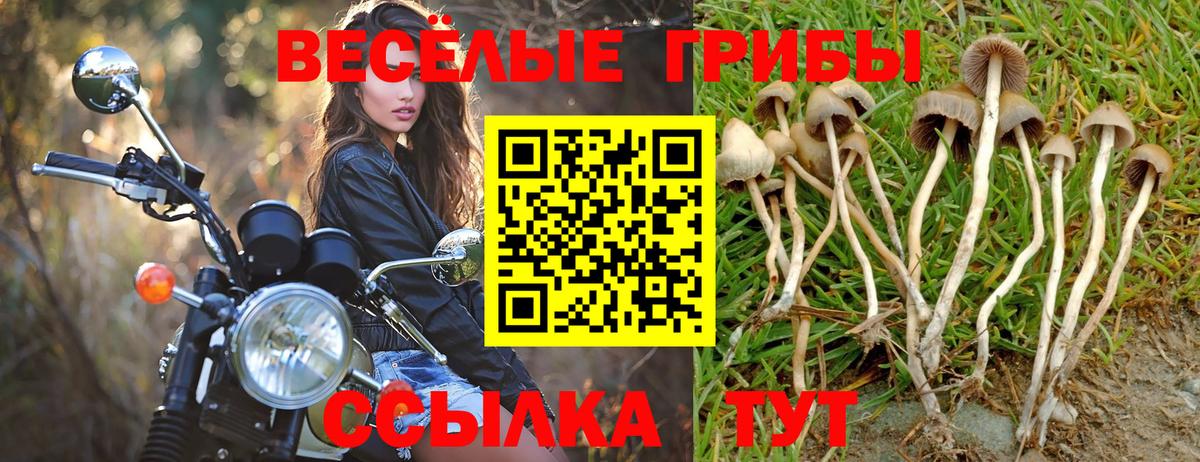 Галлюциногенные грибы Magic Shrooms  Галлюциногенные грибы MAGIC MUSHROOMS  Славянск-на-Кубани  Вход с VPN 